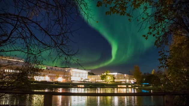 Video: Top 7 reasons to choose Umeå University – in under a minute