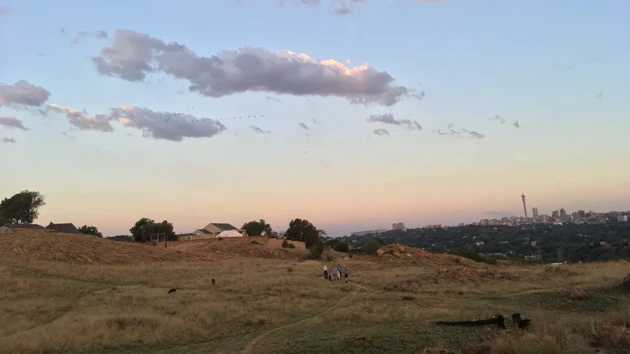 Landsbygd i Sydafrika, blå kvällshimmel och stor åker.