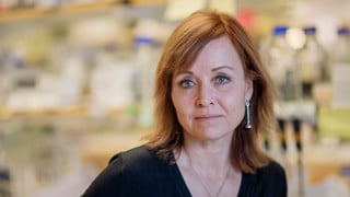 Bild på Helena Edlund